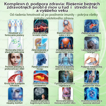 𝐎𝐟𝐢𝐜𝐢á𝐥𝐧𝐲 𝐨𝐛𝐜𝐡𝐨𝐝 ✨ Funutri® 10 v 1 metabolická formujúca náplasť s nano mikroihličkami (𝐒𝐭𝐚čí 𝐫𝐚𝐳 𝐝𝐞𝐧𝐧𝐞, 𝐯𝐢𝐝𝐢𝐭𝐞ľ𝐧é 𝐳𝐦𝐞𝐧𝐲 𝐮ž 𝐳𝐚 𝟕 𝐝𝐧í)